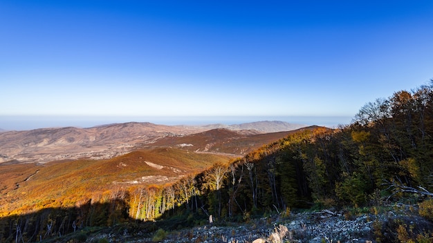 Paisaje de montaña, bosque de otoño