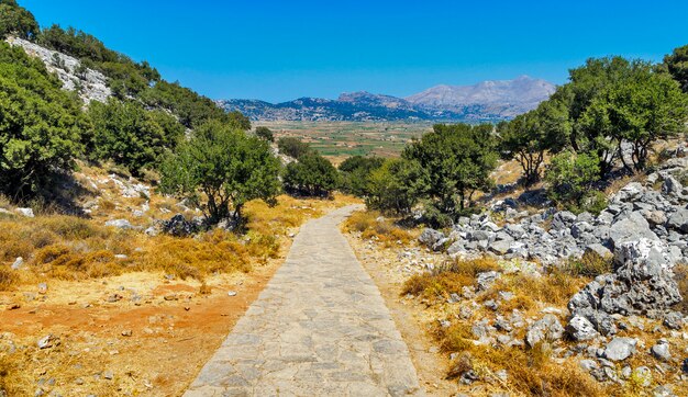 Paisaje de montaña con camino de piedra