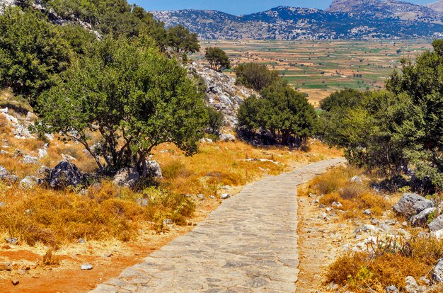 Paisaje de montaña con camino de piedra