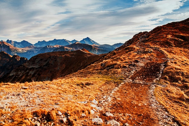 Paisaje de montaña con camino de roca