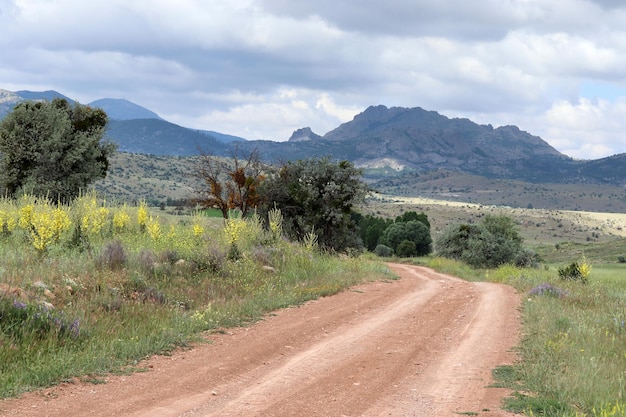 Paisaje de montaña y camino rural.