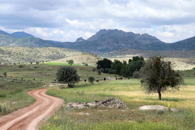 Paisaje de montaña y camino rural.