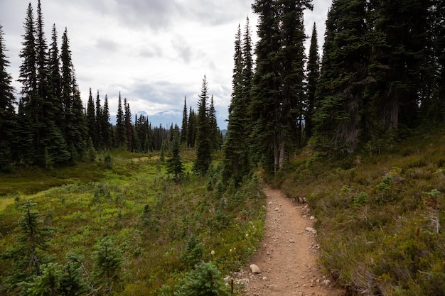 Paisaje de montaña canadiense Garibaldi BC Fondo de naturaleza