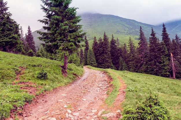 Paisaje de una montaña de los Cárpatos con sendero.