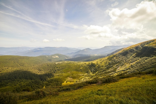 Paisaje de montaña en los Cárpatos ucranianos en verano