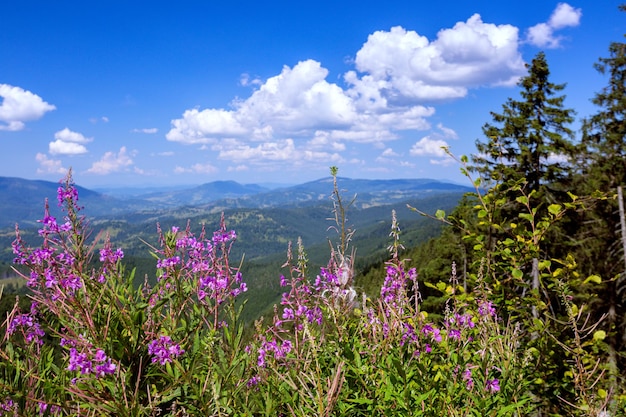 Paisaje de montaña en los Cárpatos