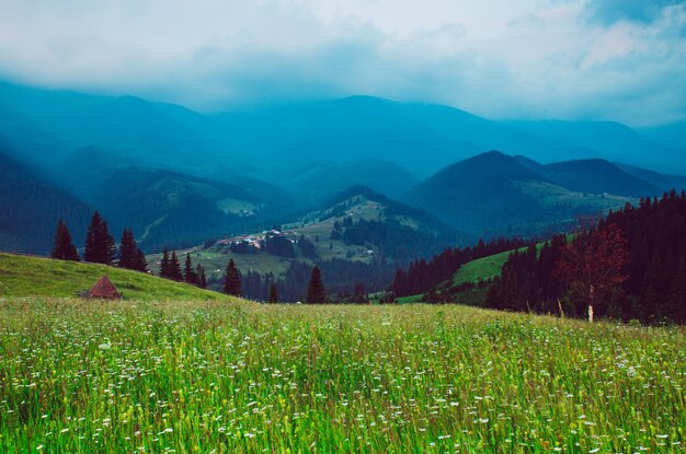 Paisaje de montaña de los Cárpatos