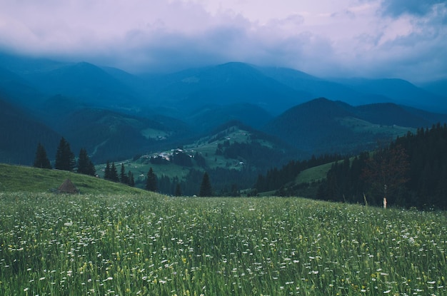 Paisaje de montaña de los Cárpatos