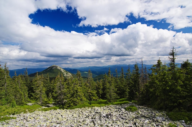 Paisaje de montaña de los Cárpatos