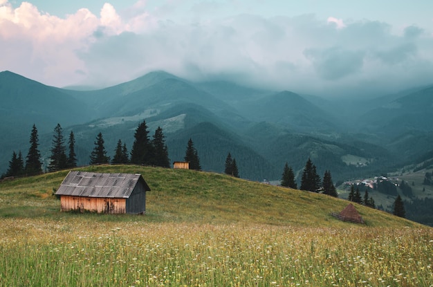 Paisaje de montaña de los Cárpatos