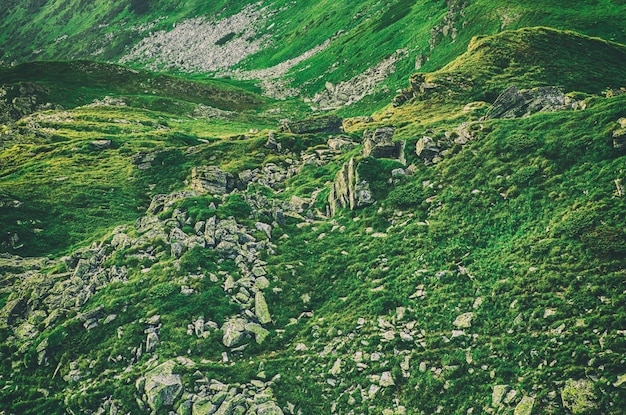 Paisaje de montaña de los Cárpatos