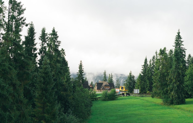 Paisaje de montaña con casa y bosque de pinos.