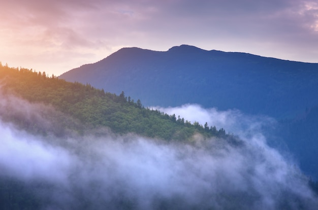 Paisaje de montaña. Composición de la naturaleza.