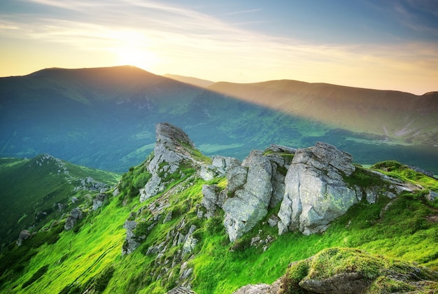 Paisaje de montaña. Composición de la naturaleza.