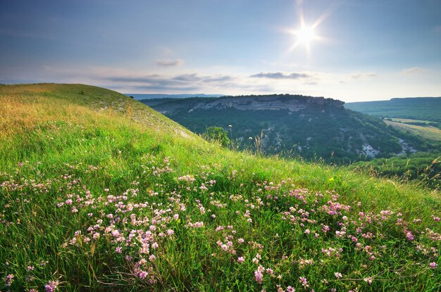 Paisaje de montaña. Composición de la naturaleza.