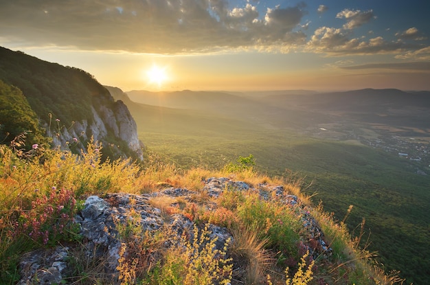 Paisaje de montaña. Composición de la naturaleza.