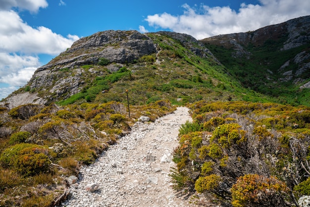 Paisaje de la montaña de la cuna Tasmania, Australia.