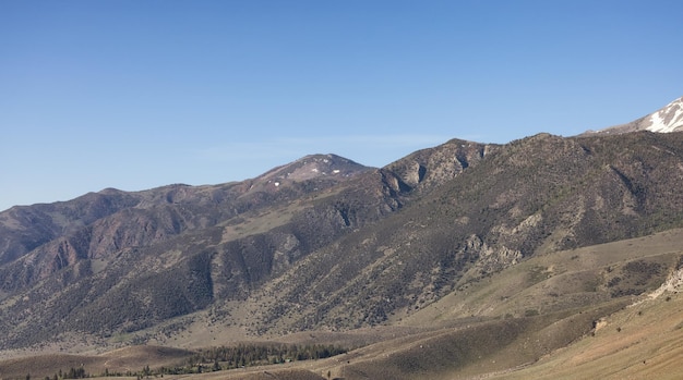 Paisaje de montaña del desierto rocoso seco con árboles