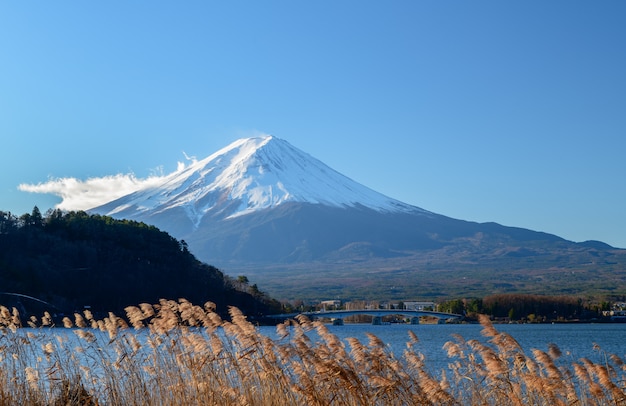 Paisaje de la montaña Fuji en el lago Kawaguchiko