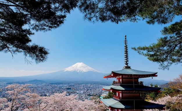 Paisaje de la montaña Fuji. Viajes y turismo en Japón de vacaciones. Relax y recreación para la flor de Sakura en primavera y verano.