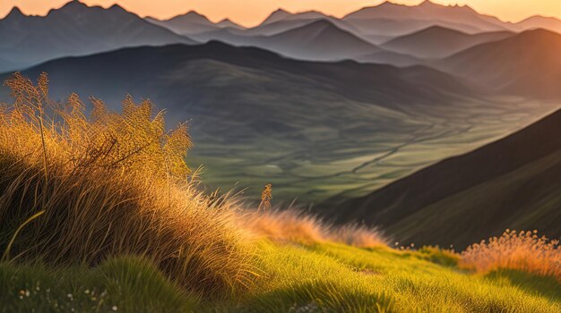 paisaje de montaña con hierba