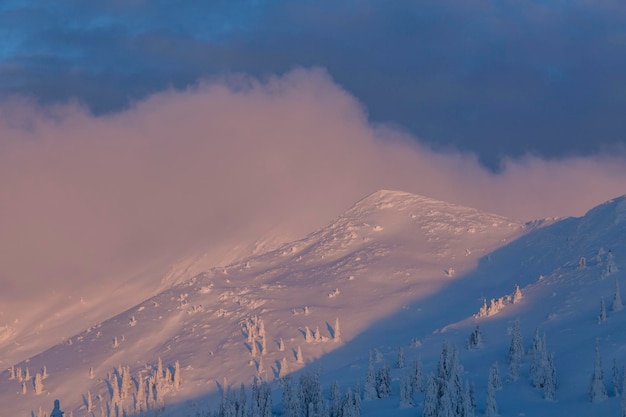 Paisaje de montaña de invierno al amanecer Hermosas montañas y abetos nevados en una mañana clara con luz solar