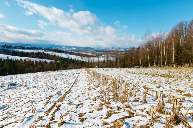 Paisaje de montaña de invierno con arboleda de campo y pueblo en lejos