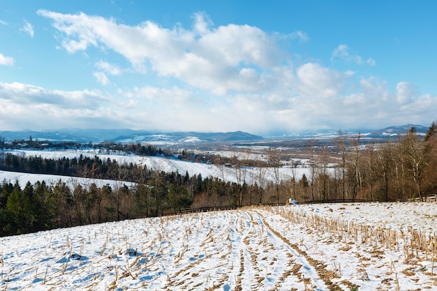 Paisaje de montaña de invierno con arboleda de campo y pueblo en lejos