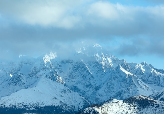 Paisaje de montaña de invierno con bosque de abetos en pendiente