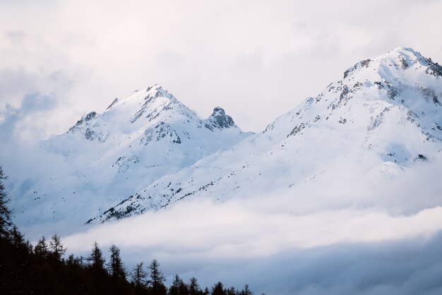 Paisaje de montaña de invierno brumoso