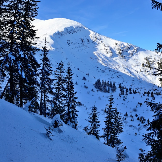 Paisaje de montaña de invierno en los Cárpatos, Ucrania