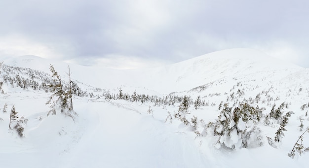 Paisaje de montaña de invierno en los Cárpatos, Ucrania