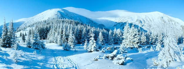 Paisaje de montaña de invierno por la mañana con abetos en pendiente.