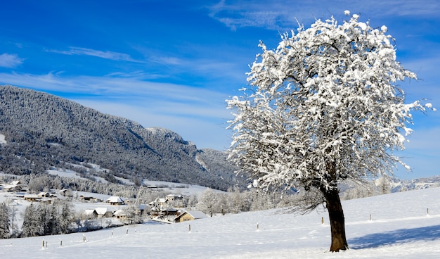 Paisaje de montaña en invierno con nieve