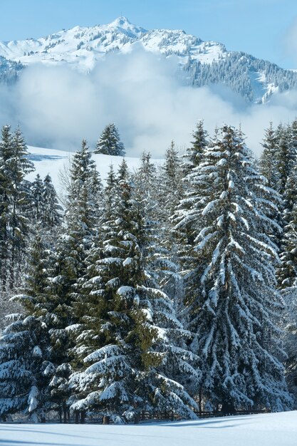 Foto paisaje de montaña de invierno con nubes bajas en pendiente (austria, baviera).