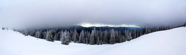 Paisaje de montaña de invierno con pinos cubiertos de nieve y nubes bajas