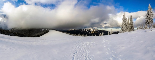 Paisaje de montaña de invierno con pinos nevados y nubes bajas