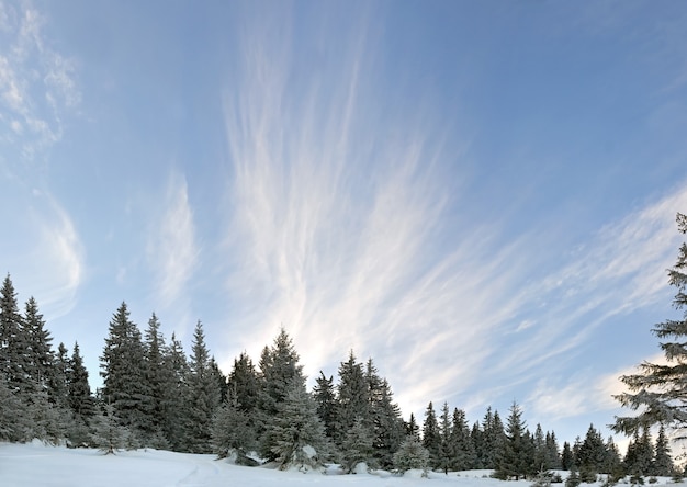 Paisaje de montaña de la mañana de invierno (Ucrania, Cárpatos)