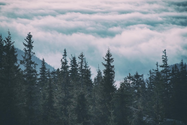 Paisaje de montaña por la mañana