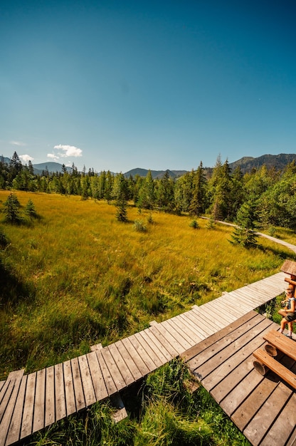 Paisaje de montaña en las montañas de Eslovaquia Valle de Juranova dolina en el parque nacional de los Tatras Occidentales en la región de oravice Orava Sendero educativo a través de la ciénaga