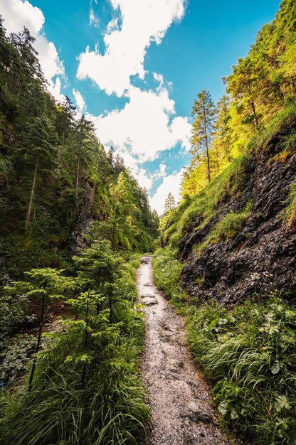 Foto paisaje de montaña en las montañas juranova dolina valle en el parque nacional western tatras eslovaquia oravice región de orava