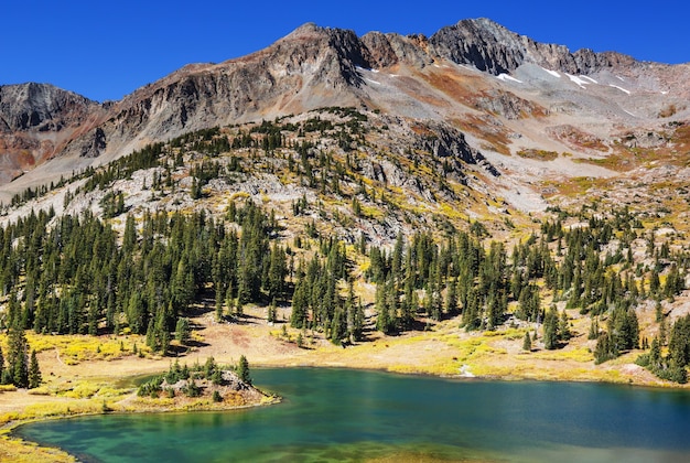 Paisaje de montaña en las Montañas Rocosas de Colorado, Colorado, Estados Unidos.