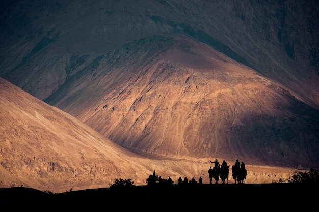 Foto paisaje de montaña y montar en camello