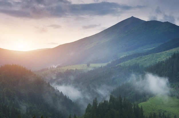 Paisaje de montaña naturaleza