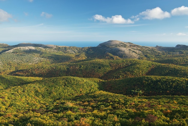 Paisaje de montaña naturaleza