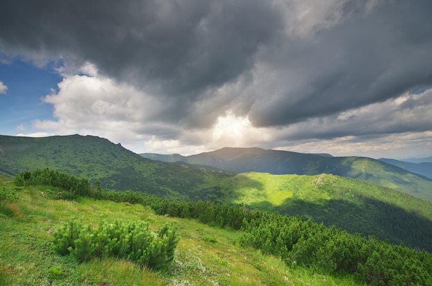 Paisaje de montaña naturaleza