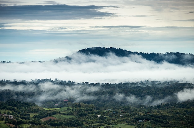 Paisaje de montaña neblinosa en la selva en un día lluvioso por la mañana en el parque nacional de Khao Kho