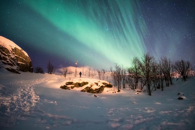 Paisaje de montaña nevada con explosión de aurora boreal