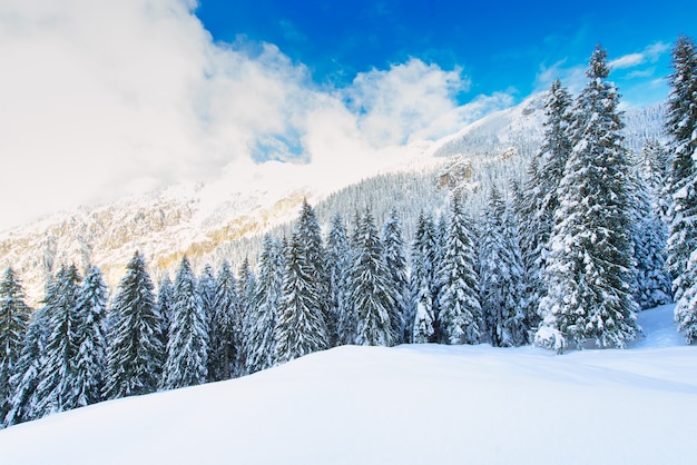 Foto paisaje de montaña nevado de invierno con abetos