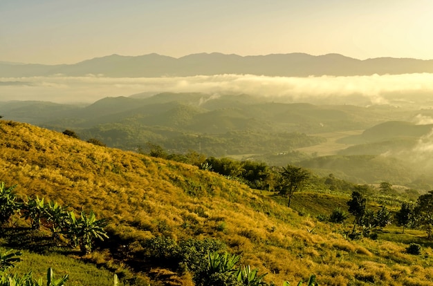 Foto paisaje de montaña con nubes y niebla